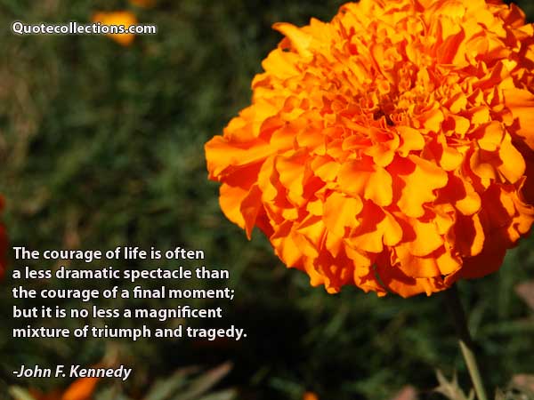 John F. Kennedy Quotes3